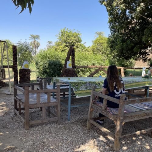 Shaded table under mango trees on a West Bank farm near Luxor