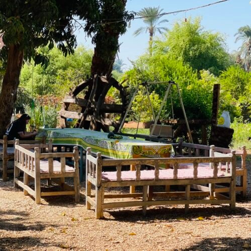 Wooden benches and a shaded table in a farm garden on the Luxor West Bank