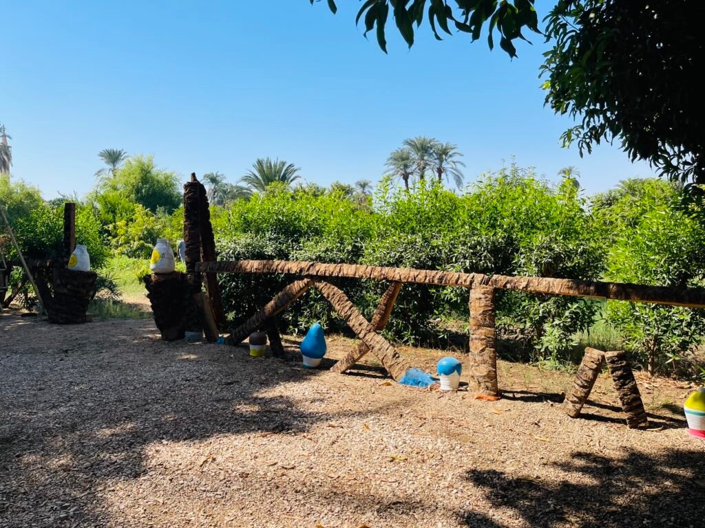 Orchard and date palms on a smallholding on the Luxor West Bank