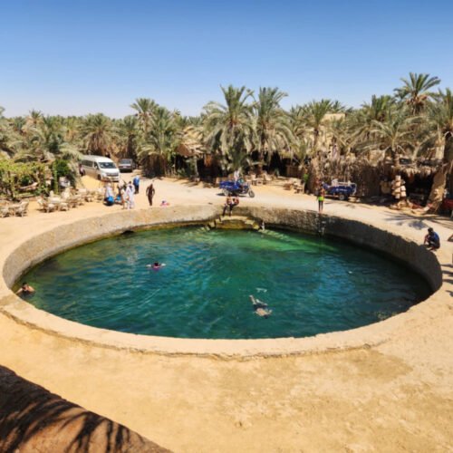 A spring-fed stone pool ringed by date palms in the Siwa oasis