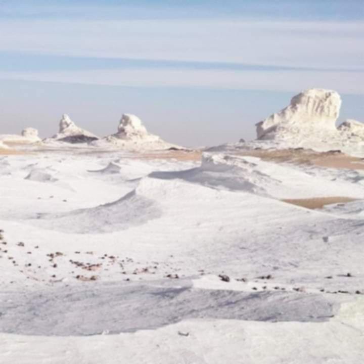 The chalk formations of the White Desert rising from the sand