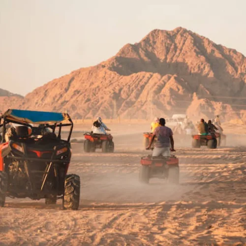 A desert buggy throwing up dust on a safari track