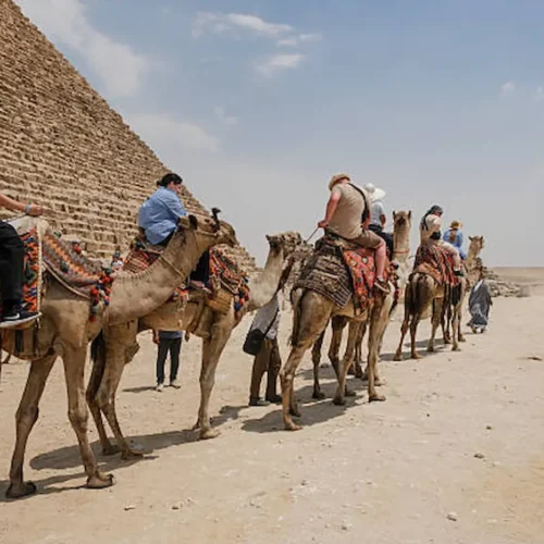A camel caravan crossing the desert beside the pyramids